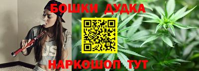 МДПВ Гатчина