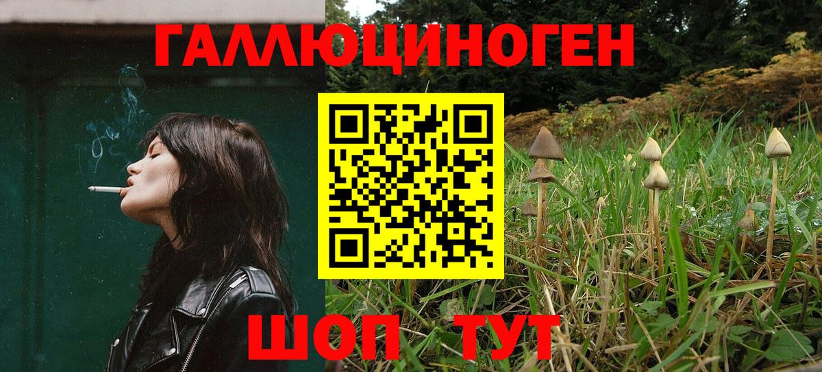 наркотики  Вход с VPN  Пугачёв  Галлюциногенные грибы прущие грибы  Галлюциногенные грибы Psilocybine cubensis 