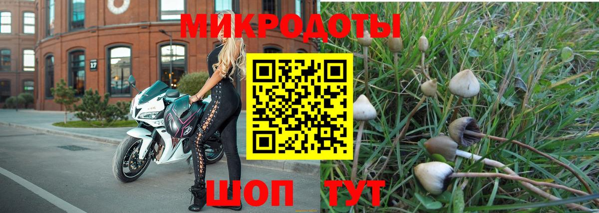 Галлюциногенные грибы мухоморы Пугачёв